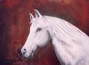 Cavallo Bianco